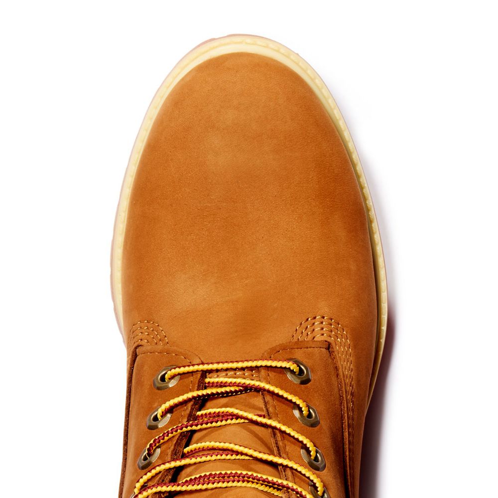 Timberland Μποτες Χιονιού Ανδρικα Καφε - 6-Inch Premium Waterproof - Greece 4721589-XI